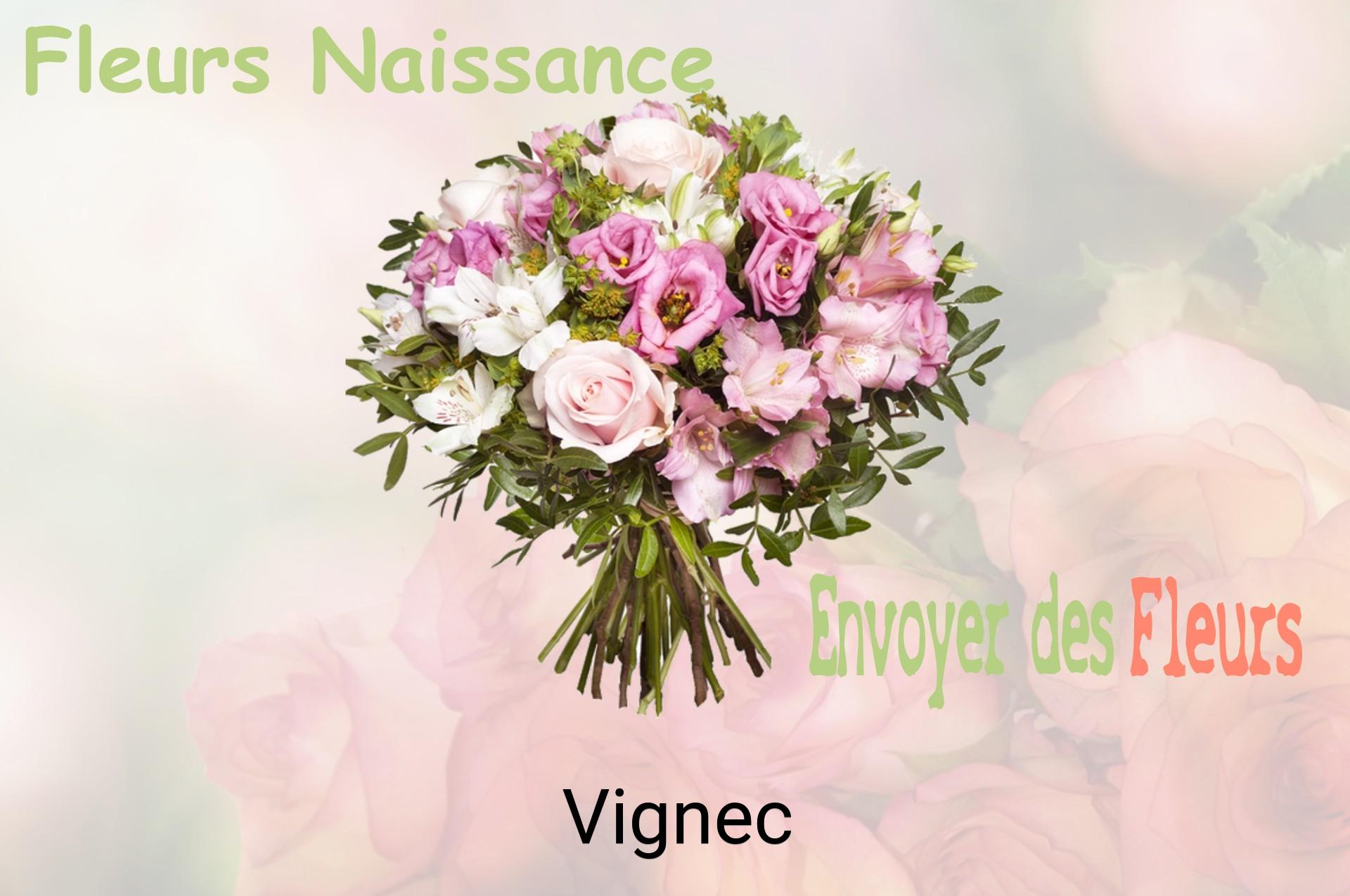 Bouquet de fleurs de naissance livré à Vignec